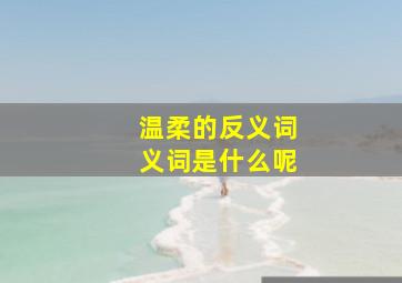 温柔的反义词义词是什么呢