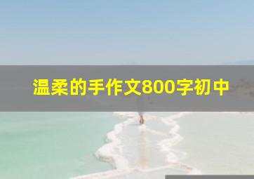 温柔的手作文800字初中