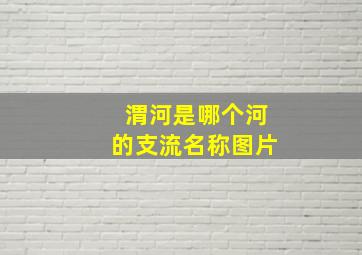 渭河是哪个河的支流名称图片