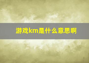 游戏km是什么意思啊