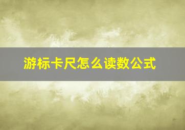 游标卡尺怎么读数公式