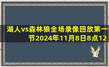 湖人vs森林狼全场录像回放第一节2024年11月8日8点12分