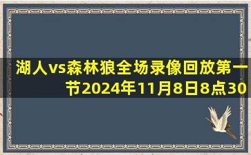 湖人vs森林狼全场录像回放第一节2024年11月8日8点30分