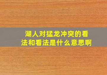 湖人对猛龙冲突的看法和看法是什么意思啊