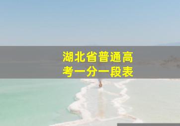 湖北省普通高考一分一段表