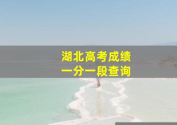 湖北高考成绩一分一段查询