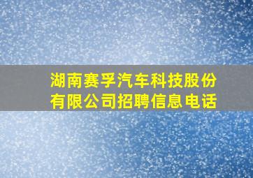 湖南赛孚汽车科技股份有限公司招聘信息电话