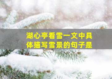 湖心亭看雪一文中具体描写雪景的句子是