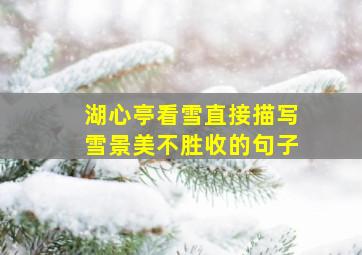 湖心亭看雪直接描写雪景美不胜收的句子