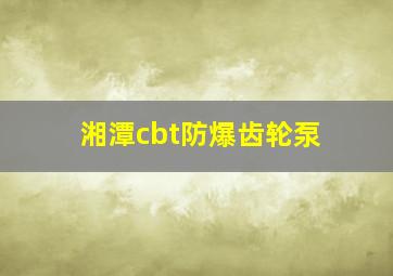 湘潭cbt防爆齿轮泵