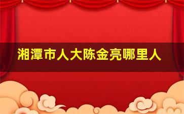 湘潭市人大陈金亮哪里人