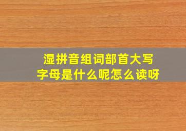 湿拼音组词部首大写字母是什么呢怎么读呀