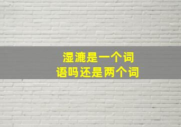 湿漉是一个词语吗还是两个词