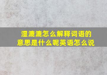 湿漉漉怎么解释词语的意思是什么呢英语怎么说