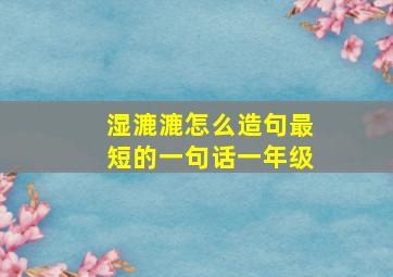 湿漉漉怎么造句最短的一句话一年级