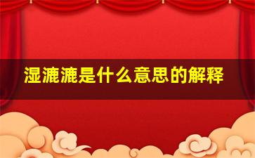 湿漉漉是什么意思的解释