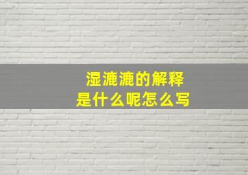 湿漉漉的解释是什么呢怎么写