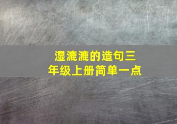 湿漉漉的造句三年级上册简单一点