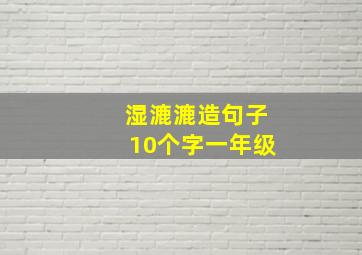 湿漉漉造句子10个字一年级