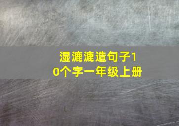 湿漉漉造句子10个字一年级上册