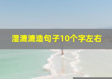 湿漉漉造句子10个字左右