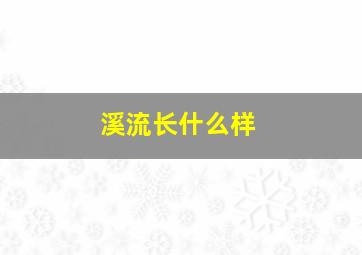 溪流长什么样