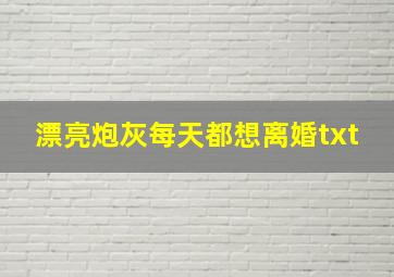 漂亮炮灰每天都想离婚txt