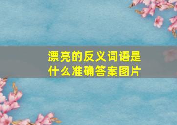 漂亮的反义词语是什么准确答案图片