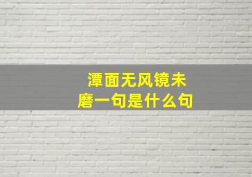 潭面无风镜未磨一句是什么句