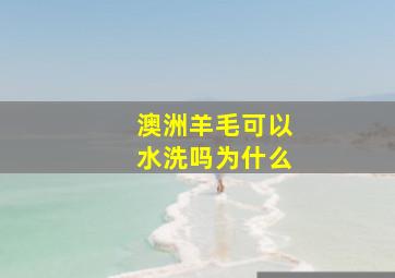 澳洲羊毛可以水洗吗为什么