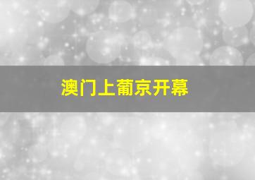 澳门上葡京开幕