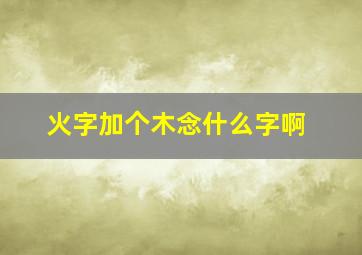 火字加个木念什么字啊