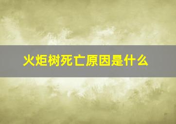 火炬树死亡原因是什么