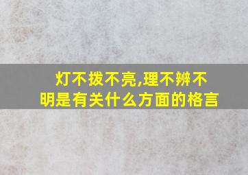 灯不拨不亮,理不辨不明是有关什么方面的格言