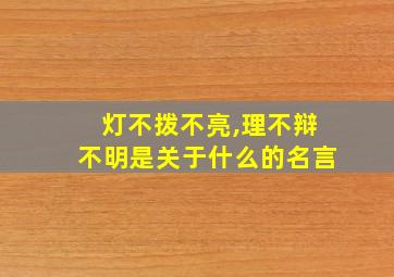 灯不拨不亮,理不辩不明是关于什么的名言