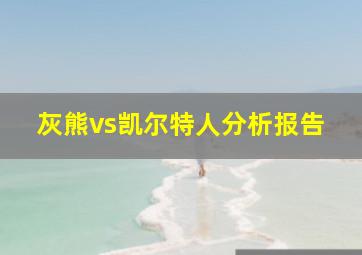 灰熊vs凯尔特人分析报告