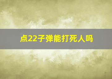 点22子弹能打死人吗