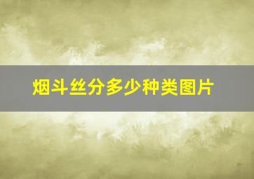 烟斗丝分多少种类图片