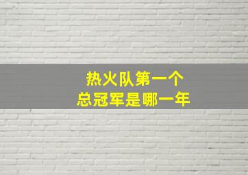 热火队第一个总冠军是哪一年