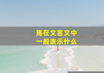 焉在文言文中一般表示什么