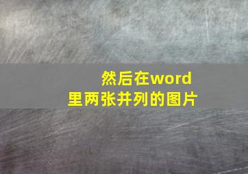 然后在word里两张并列的图片