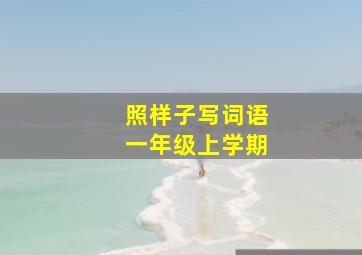 照样子写词语一年级上学期