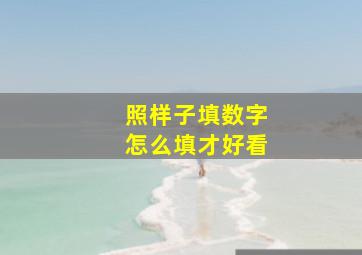 照样子填数字怎么填才好看