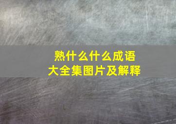 熟什么什么成语大全集图片及解释