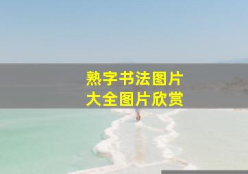 熟字书法图片大全图片欣赏