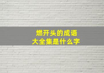 燃开头的成语大全集是什么字