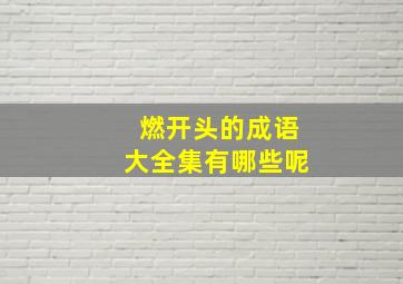 燃开头的成语大全集有哪些呢