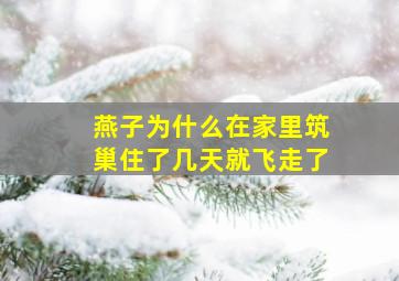 燕子为什么在家里筑巢住了几天就飞走了