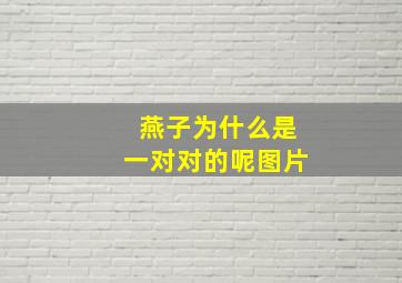 燕子为什么是一对对的呢图片