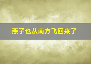 燕子也从南方飞回来了